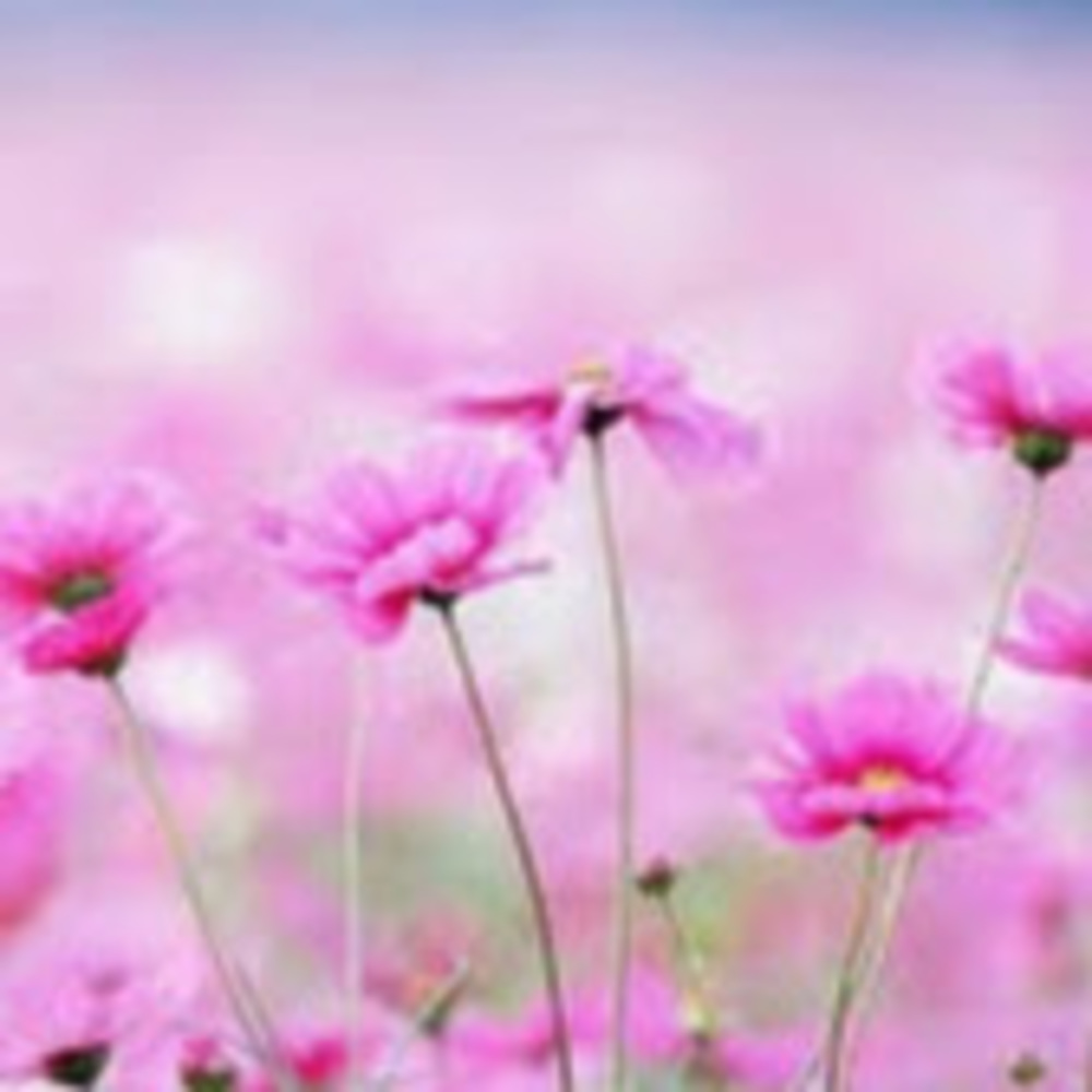 Meet your Posher, Michaela